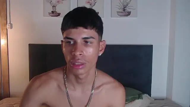 Jesve webcam