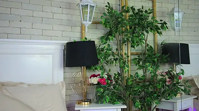 EmillyBronte webcam
