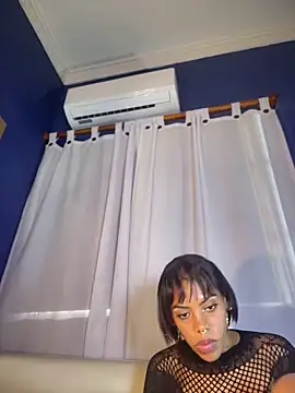 NovaFoxx webcam