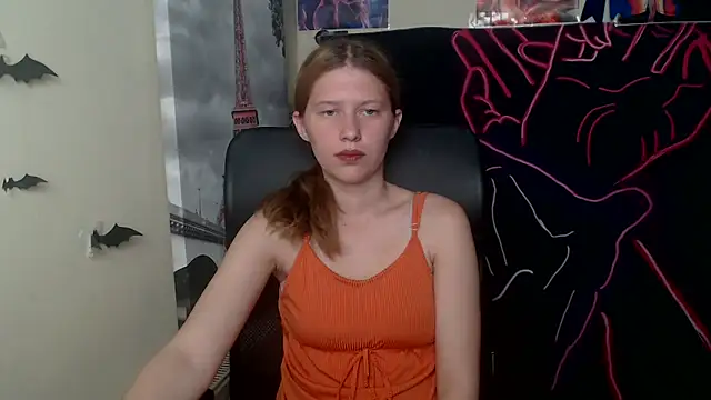 StellaCRL webcam