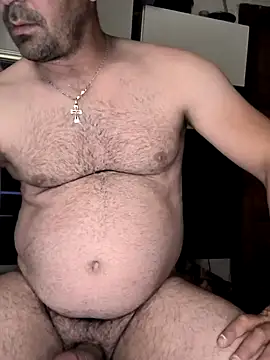2si1pe4 webcam