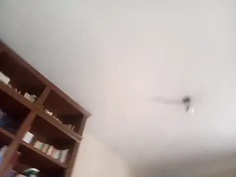 C4RL170S webcam