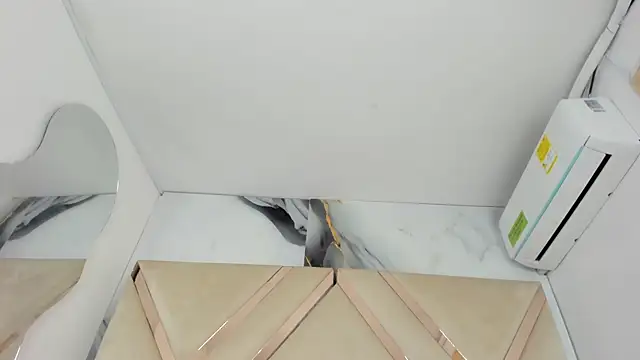arixht webcam