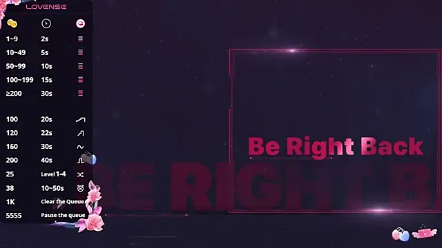 _flipped_ webcam