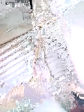 abigail240 webcam