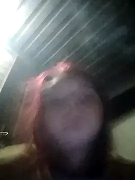 Lisa-1213 webcam