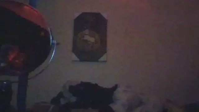 hailzeffn webcam