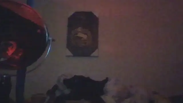 hailzeffn live sex cam