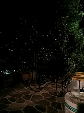 sebasxx97 webcam