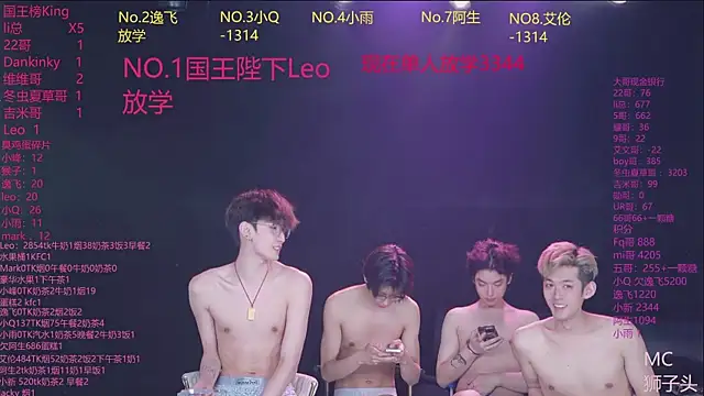 AAA-winner webcam