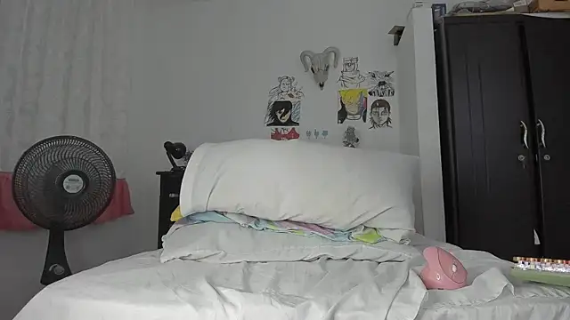 SonSett webcam