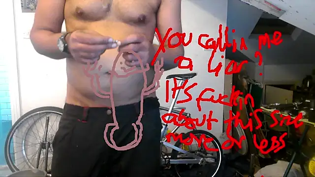 mista_sista_fista webcam