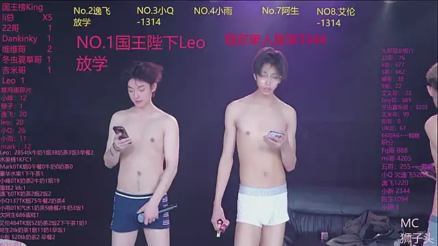 AAA-winner webcam