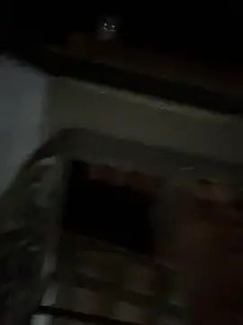 Leo_bunny_hot