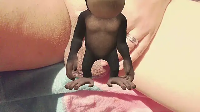Catycan21 webcam