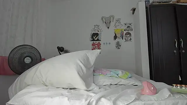 SonSett webcam