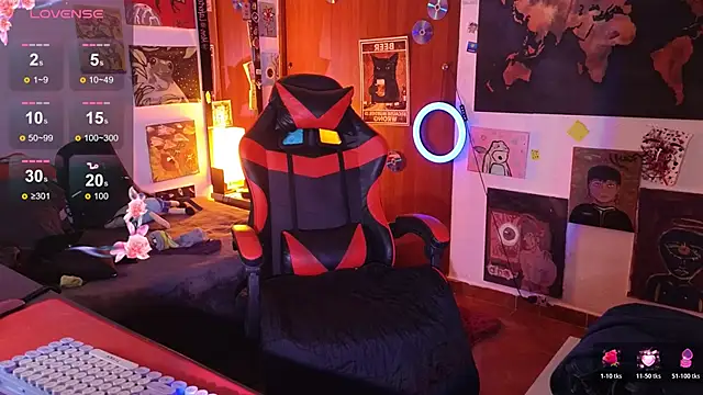 the_princeRed webcam
