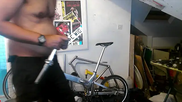 mista_sista_fista webcam