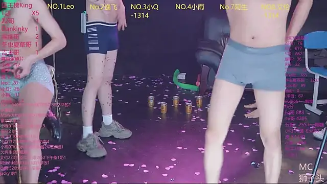 AAA-winner webcam