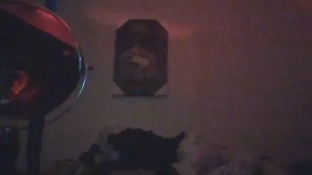hailzeffn webcam
