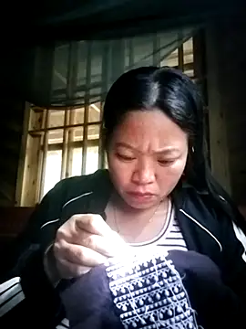 Min-in webcam