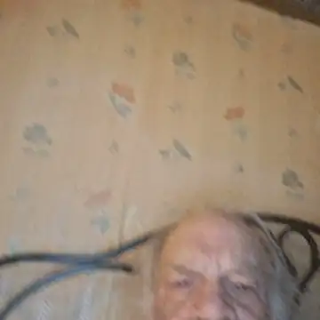 russtee