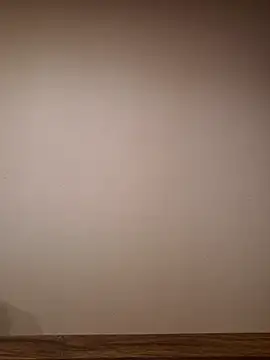 AlphaGymMale webcam
