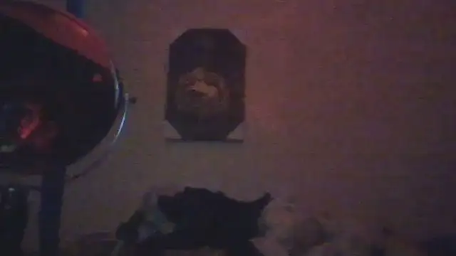 hailzeffn live sex cam