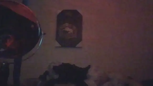 hailzeffn webcam