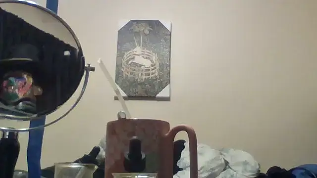 hailzeffn webcam