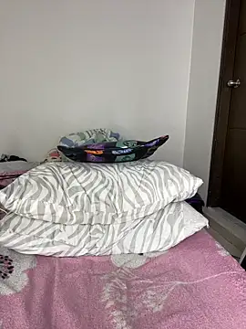 sandylau webcam