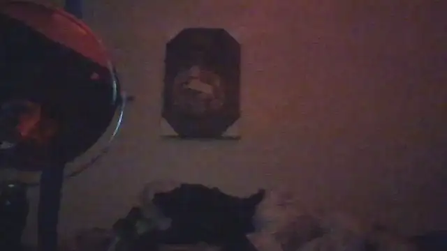 hailzeffn webcam