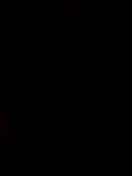 Robin_H00t_2 webcam