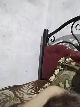 salimbasha webcam