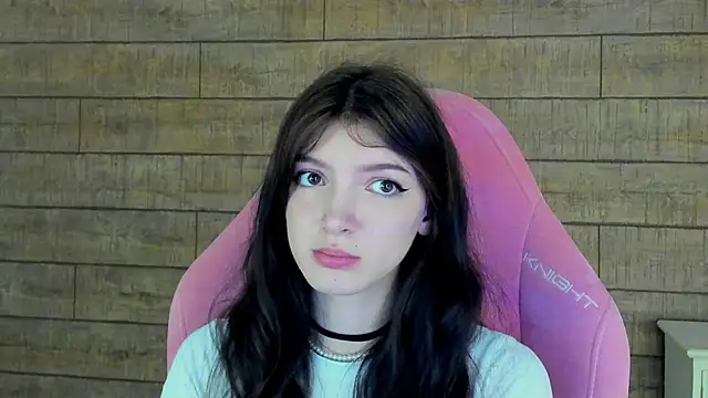 SophiaProve webcam