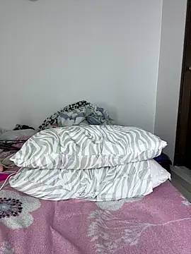 sandylau webcam