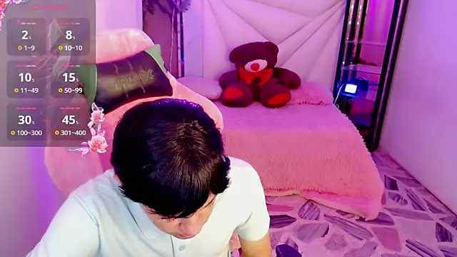 Top_and_bottom webcam