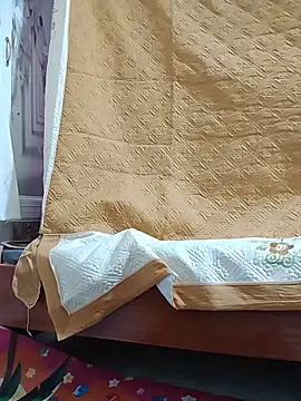 art_po19 webcam