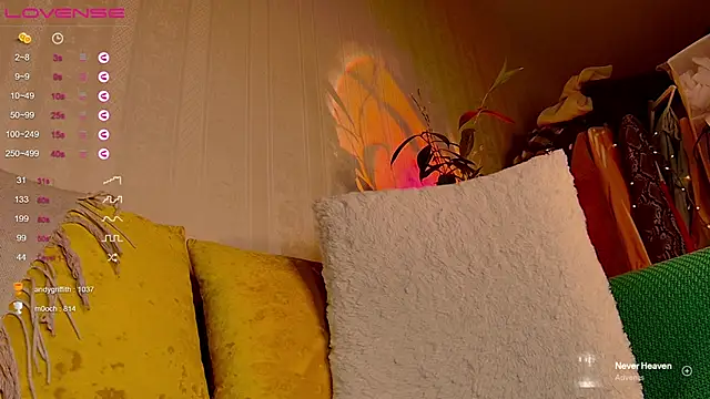 IttyKitty webcam
