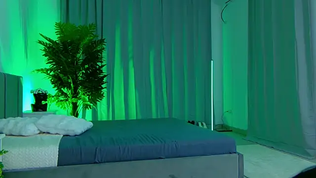 evanew_ webcam