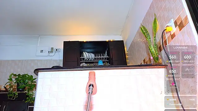 kenner_jacksom webcam