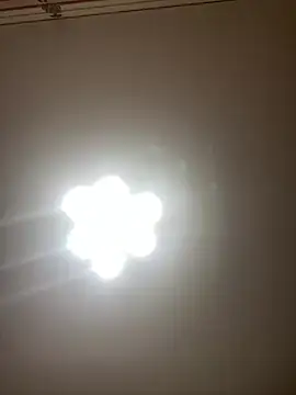 Janet_Welder webcam
