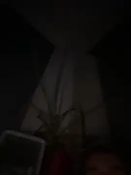 Dejvicko666 webcam