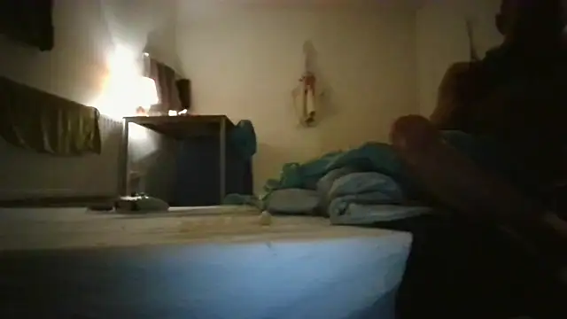 toyxltester webcam