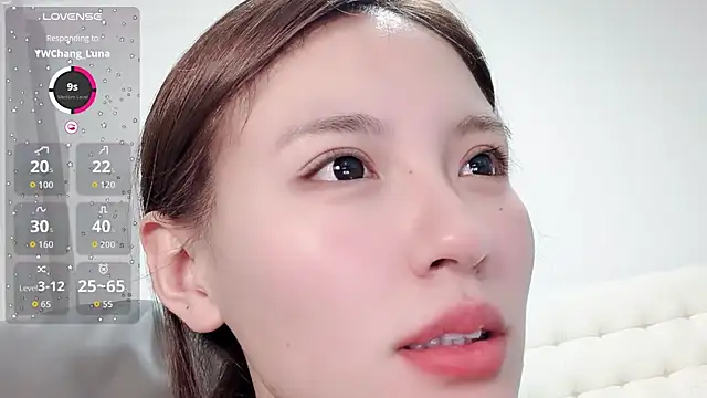 H-2005 webcam