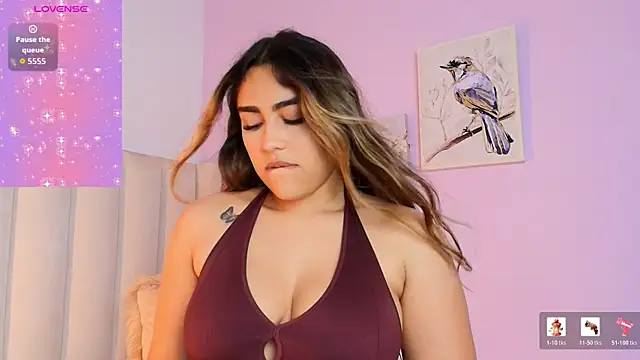 Mhia_palmer webcam