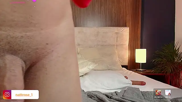 NATTROSE webcam