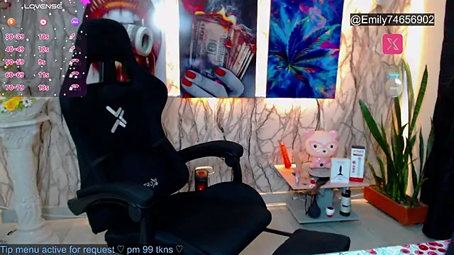 EmiTranny webcam