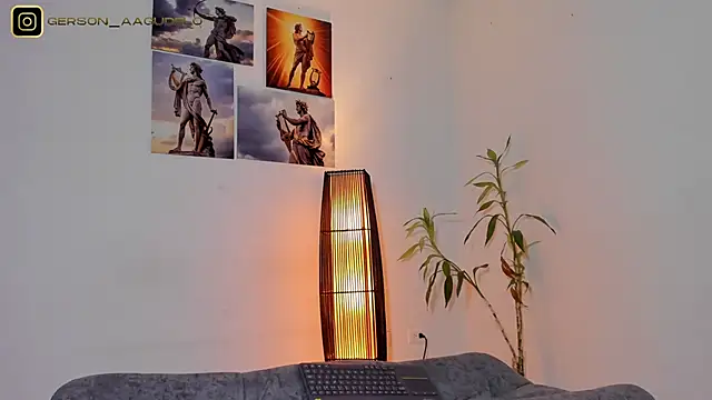 Gersonzt webcam