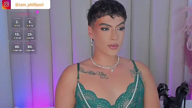 sam_phillipss webcam